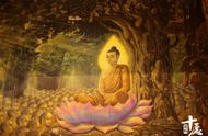 探索佛教中的“七”的神秘意义