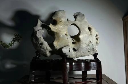 木座上的太湖石重器：横云岫月的空透玲珑之美