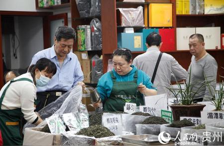 贵阳盛大开启2024“国际茶日”庆典，品鉴贵州绿茶